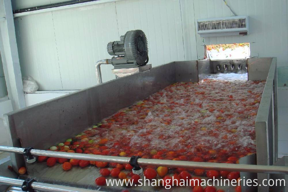 Vegetable sorting and washing machine